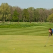golf297.jpg
