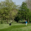 golf342.jpg