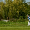 golf366.jpg